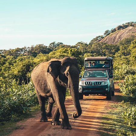 Birds Paradise Yala & Safari Tissamaharama Exterior photo